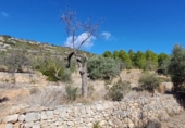 Masia with land for sale in Sierra Engarcerán ref: TR187461 photo