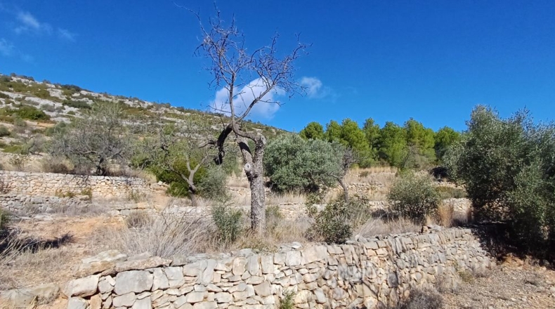 Castellón - Sierra Engarcerán - 22000m2