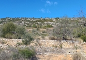 Masia with land for sale in Sierra Engarcerán ref: TR187461 photo