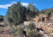 Masia with land for sale in Sierra Engarcerán ref: TR187461 photo