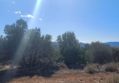 Masia with land for sale in Sierra Engarcerán ref: TR187461 photo