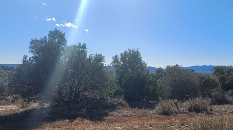 Castellón - Sierra Engarcerán - 22000m2