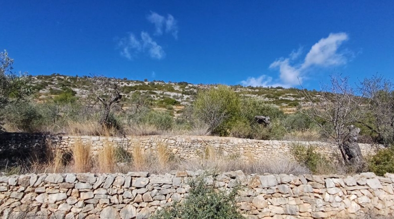 Castellón - Sierra Engarcerán - 22000m2