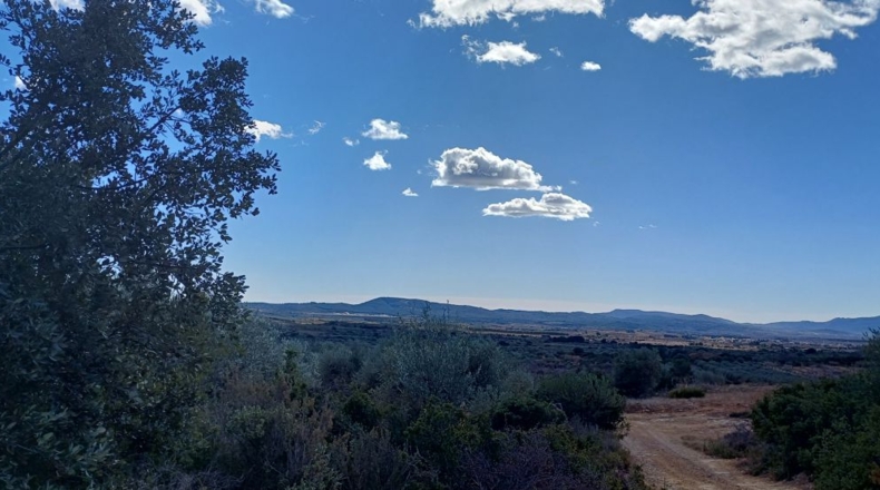 Castellón - Sierra Engarcerán - 22000m2
