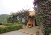 Finca rústica en venta en Son Servera ref: TR15928 foto