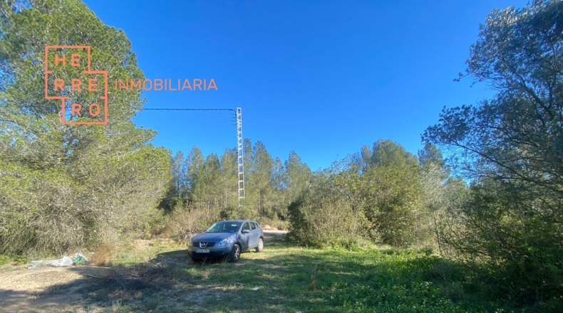 Castellón - Useras - 54500m2
