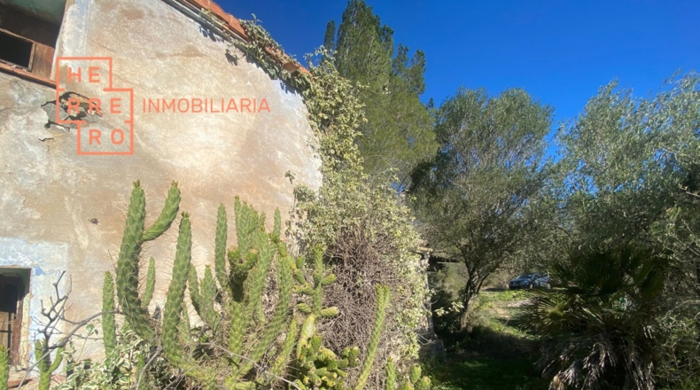 Castellón - Useras - 54500m2