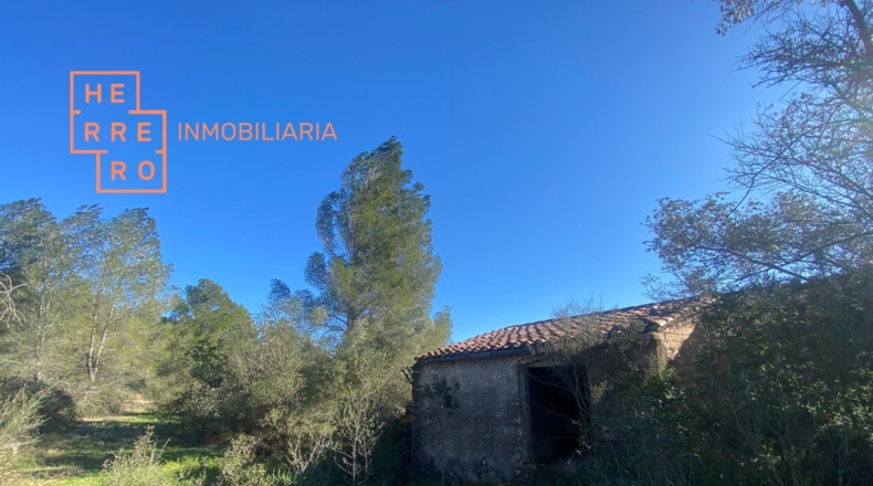Castellón - Useras - 54500m2