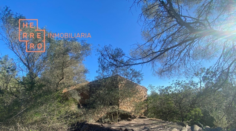 Castellón - Useras - 54500m2