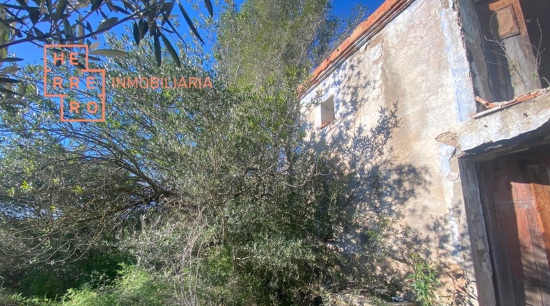 Castellón - Useras - 54500m2