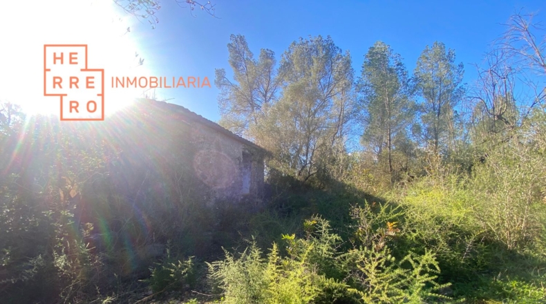 Castellón - Useras - 54500m2