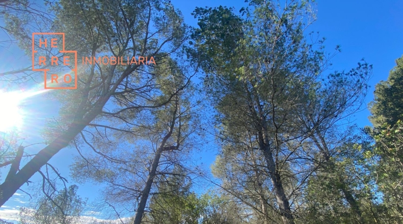 Castellón - Useras - 54500m2