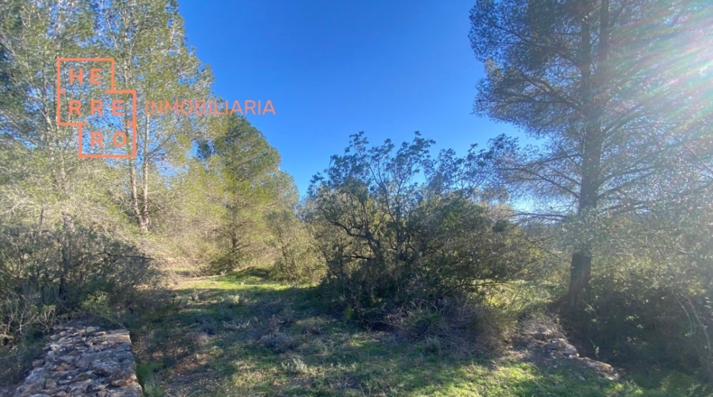 Castellón - Useras - 54500m2