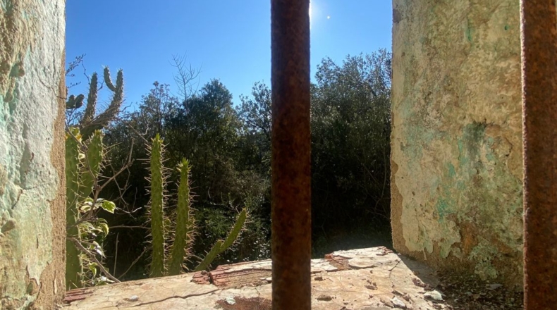 Castellón - Useras - 54500m2