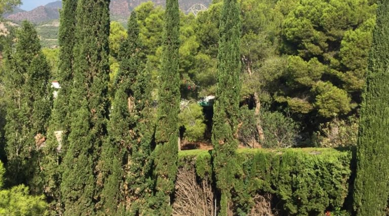 Castellón - El Palasiet - 1482m2