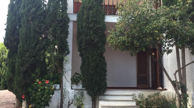 Castellón - El Palasiet - 1482m2
