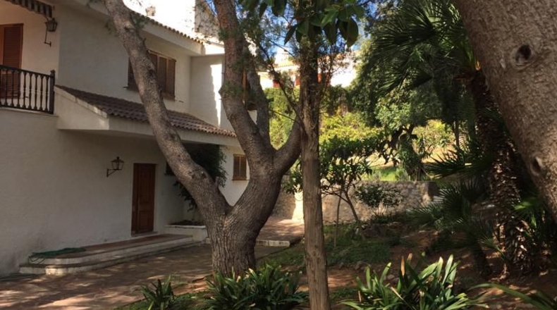 Castellón - El Palasiet - 1482m2