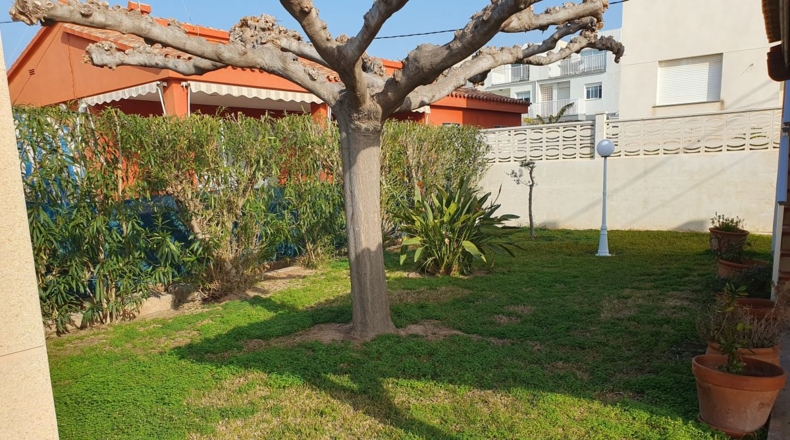Castellón - Almassora - 600m2