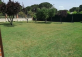 Terreno no urbanizable en venta en Villanueva de Duero ref: TR45428 foto