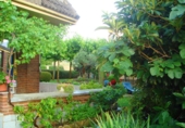 Detached villa with land for sale in Berantevilla ref: TR28125 photo