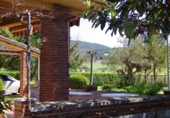 Detached villa with land for sale in Berantevilla ref: TR28125 photo
