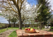 Detached villa with land for sale in Berantevilla ref: TR28125 photo