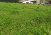 Parcela urbanizable en venta en Alegría ref: TR45750 foto