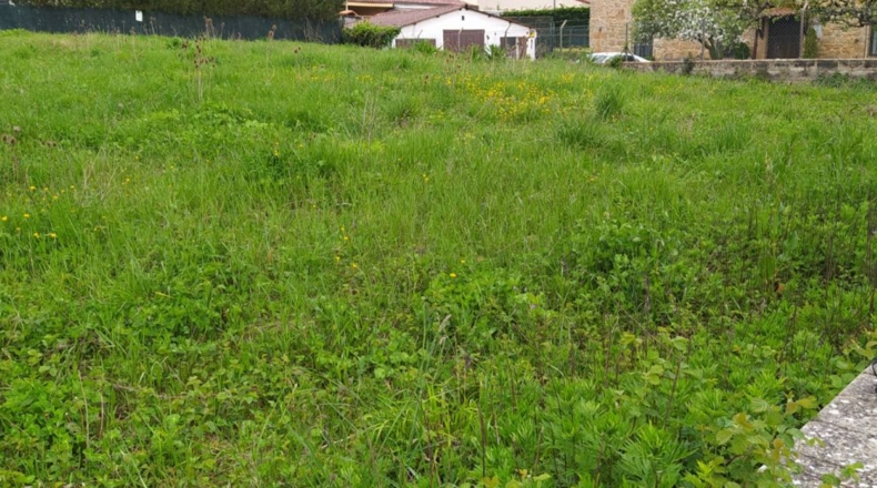 Álava - Eguileta - 800m2