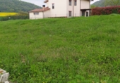 Parcela urbanizable en venta en Alegría ref: TR45750 foto