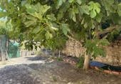 Village house for sale in Oyón ref: TR328631 photo