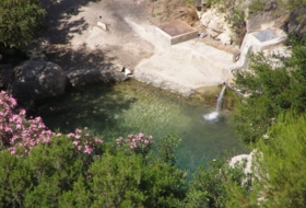 Foto 8