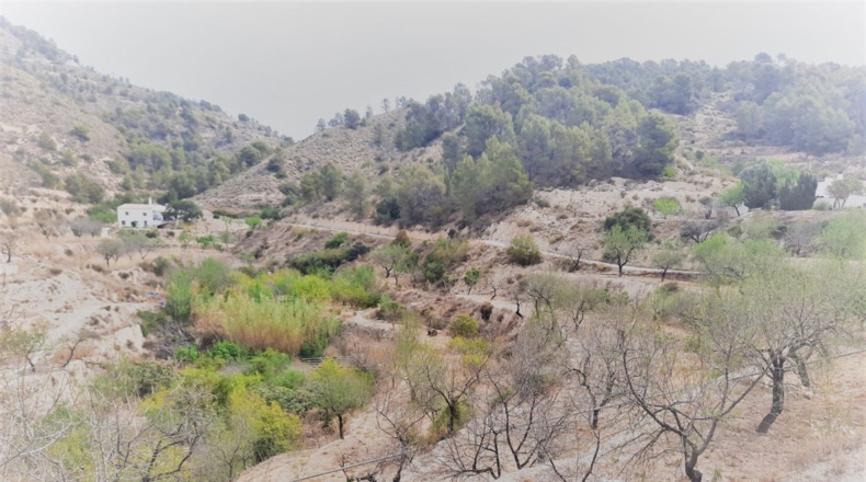 Alicante - Sella - 53842m2