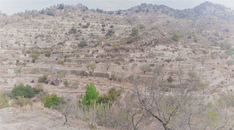 Alicante - Sella - 53842m2