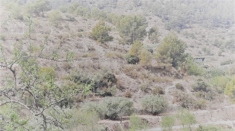 Alicante - Sella - 53842m2