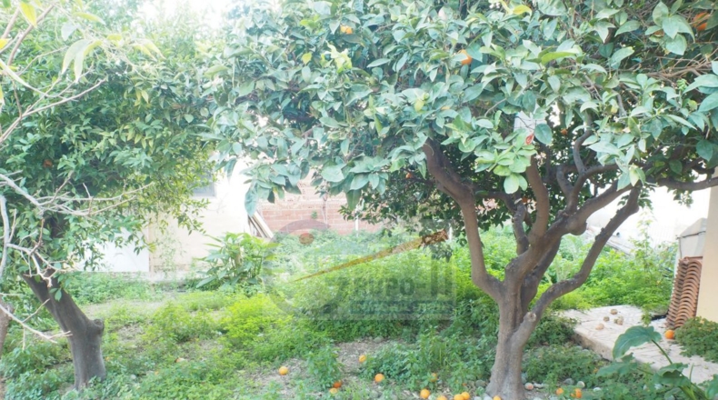 Alicante - Villajoyosa - 347m2
