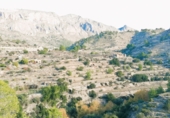 Finca rústica en venda a Elda ref.: TR187995 foto