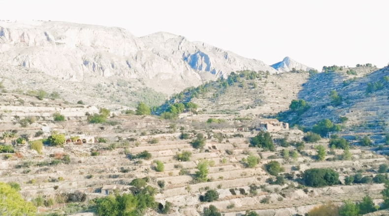 Alicante - Sella - 44110m2