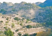 Finca rústica en venda a Elda ref.: TR187995 foto