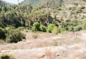 Finca rústica en venda a Elda ref.: TR187995 foto