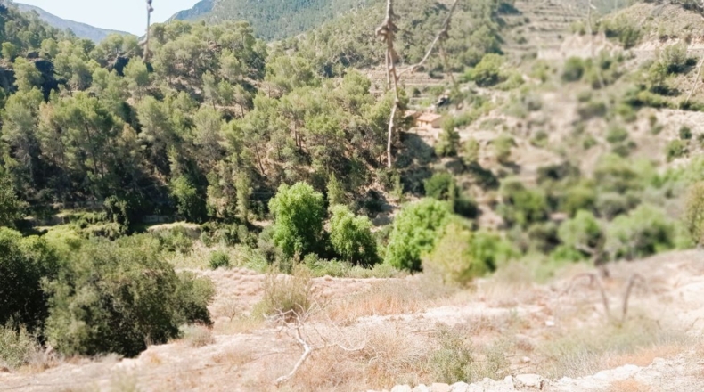 Alicante - Sella - 44110m2