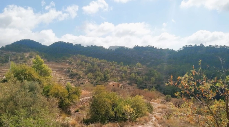 Alicante - Sella - 44110m2