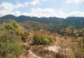 Finca rústica en venda a Elda ref.: TR187995 foto