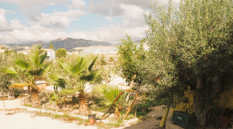 Alicante - Villajoyosa - 5643m2