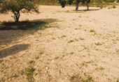 Finca rústica en venda a la Vila Joiosa ref.: TR209511 foto