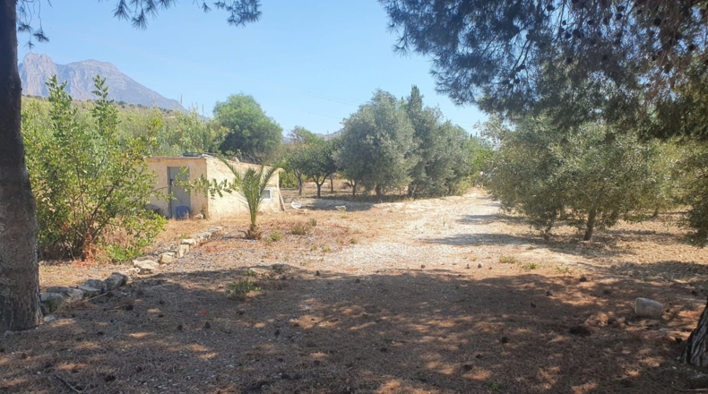 Alicante - Villajoyosa - 7000m2