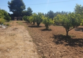 Земля на продажу у города Villajoyosa. Фото