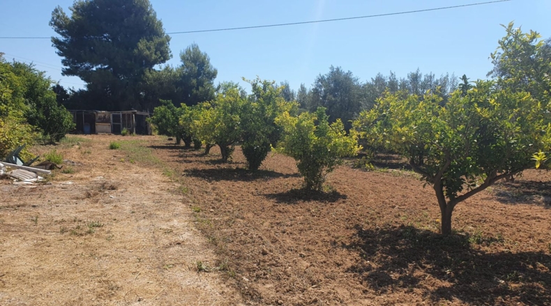 Alicante - Villajoyosa - 7000m2
