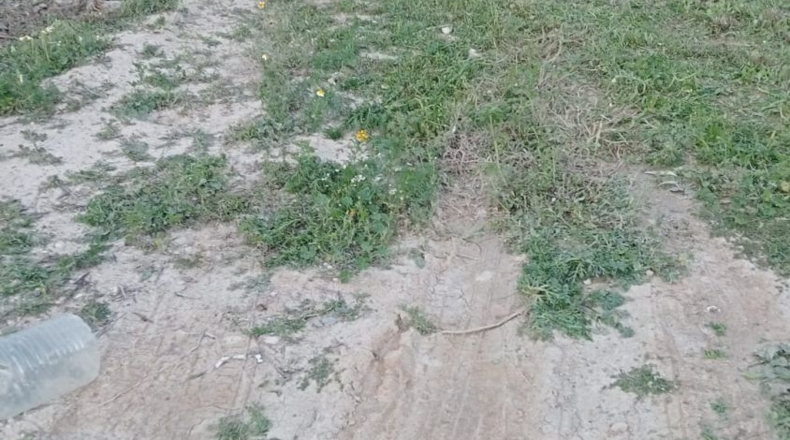 Alicante - Villajoyosa - 7000m2