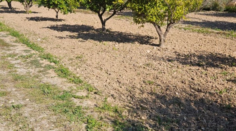 Alicante - Villajoyosa - 7000m2