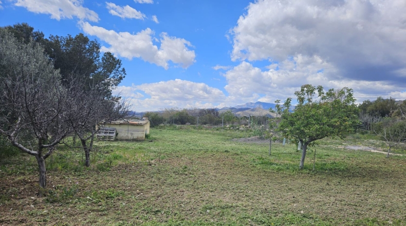 Alicante - Villajoyosa - 7000m2
